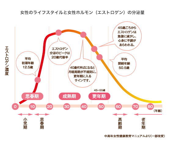 女性のライフスタイルと女性ホルモン（エストロゲン）の分泌量